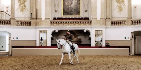 The Lipizzans' Performances