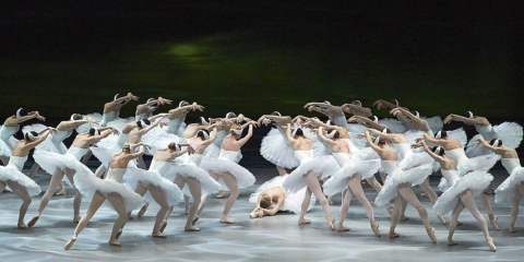 Ballet: Schwanensee