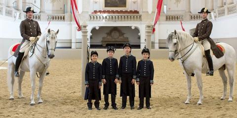 A Tribute to Vienna